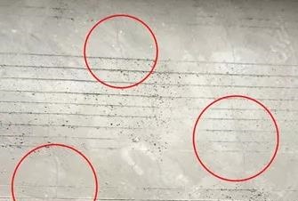 888�ڲ���-����Ϊ��,רҵ����