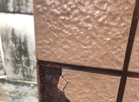 888�ڲ���-����Ϊ��,רҵ����