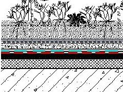 888�ڲ���-����Ϊ��,רҵ����