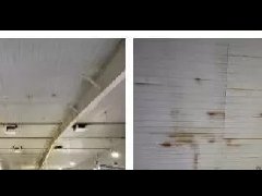 888�ڲ���-����Ϊ��,רҵ����