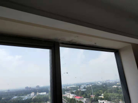 888�ڲ���-����Ϊ��,רҵ����