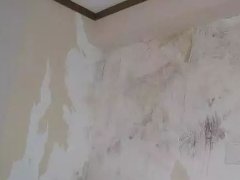 888�ڲ���-����Ϊ��,רҵ����