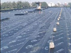 888�ڲ���-����Ϊ��,רҵ����