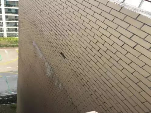 888�ڲ���-����Ϊ��,רҵ����