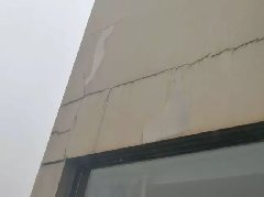 888�ڲ���-����Ϊ��,רҵ����