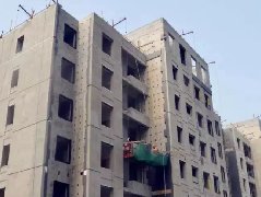 888�ڲ���-����Ϊ��,רҵ����