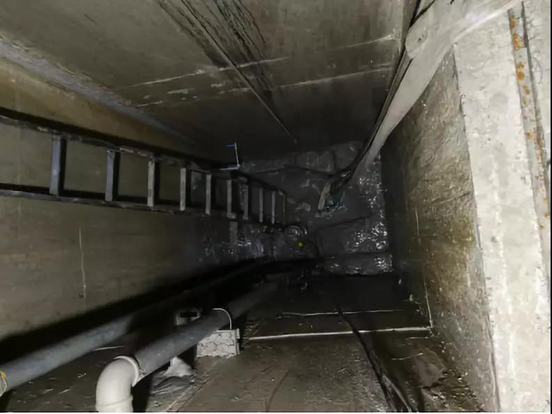 888�ڲ���-����Ϊ��,רҵ����