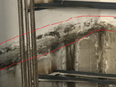 888�ڲ���-����Ϊ��,רҵ����