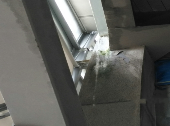 888�ڲ���-����Ϊ��,רҵ����