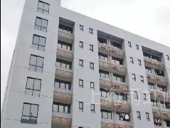 888�ڲ���-����Ϊ��,רҵ����