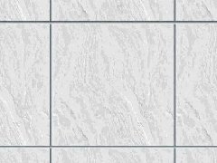 888�ڲ���-����Ϊ��,רҵ����