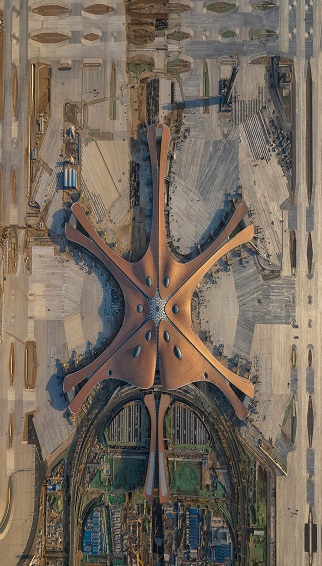 888�ڲ���-����Ϊ��,רҵ����