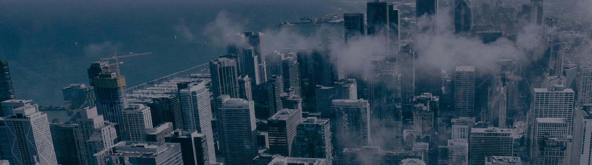 888�ڲ���-����Ϊ��,רҵ����