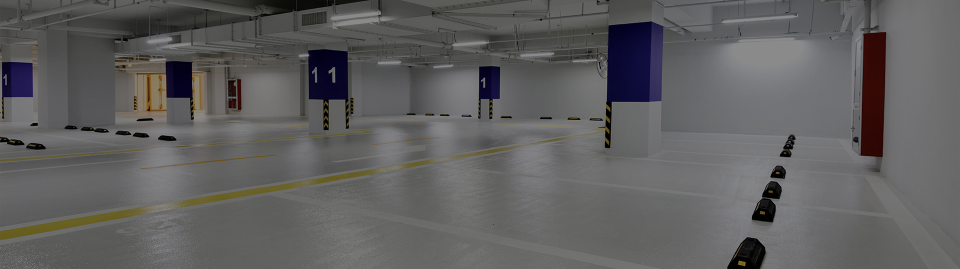 888�ڲ���-����Ϊ��,רҵ����