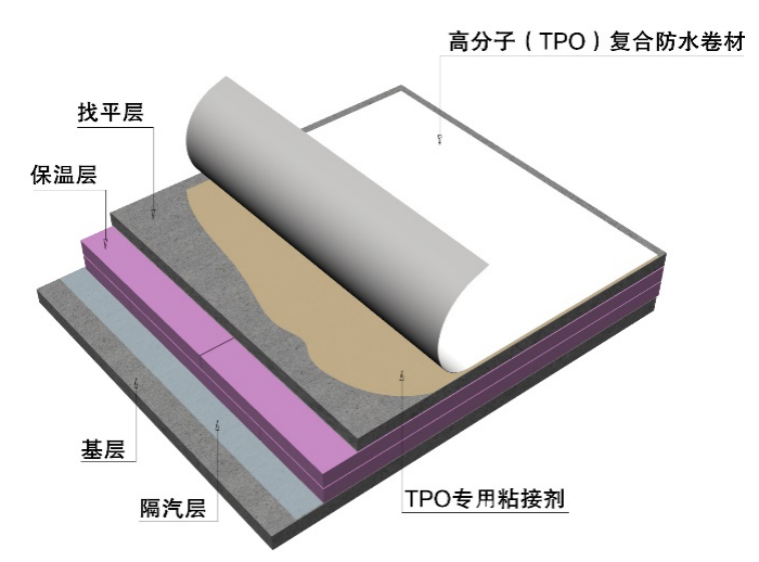 888�ڲ���-����Ϊ��,רҵ����