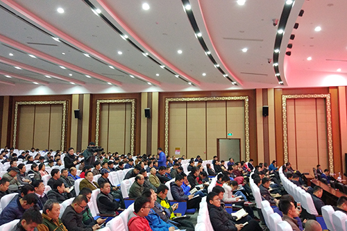 888�ڲ���-����Ϊ��,רҵ����