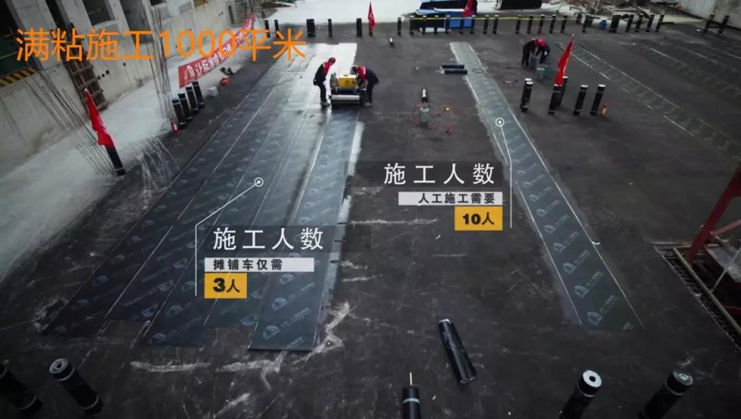 888�ڲ���-����Ϊ��,רҵ����