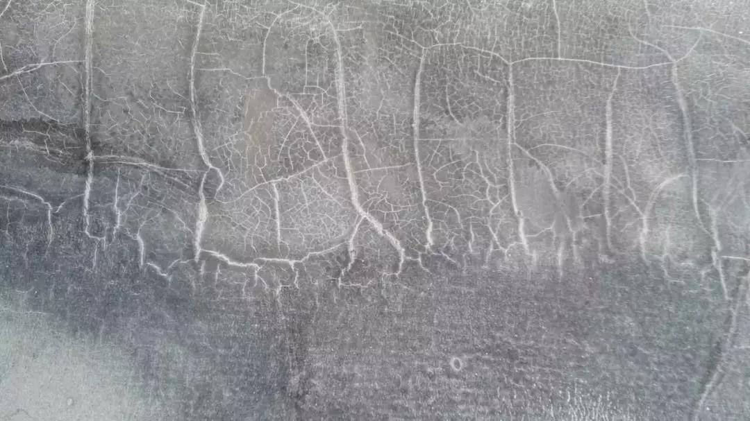 888�ڲ���-����Ϊ��,רҵ����