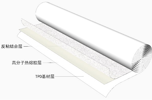 888�ڲ���-����Ϊ��,רҵ����