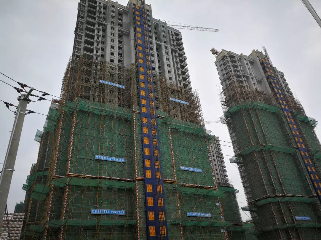 888�ڲ���-����Ϊ��,רҵ����