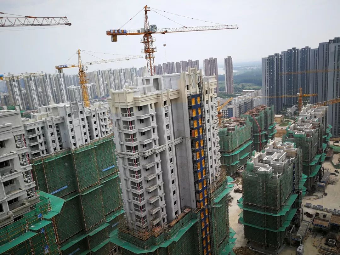 888�ڲ���-����Ϊ��,רҵ����