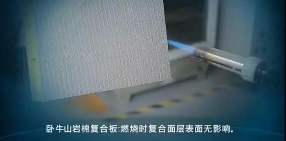 888�ڲ���-����Ϊ��,רҵ����