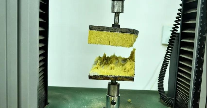 888�ڲ���-����Ϊ��,רҵ����