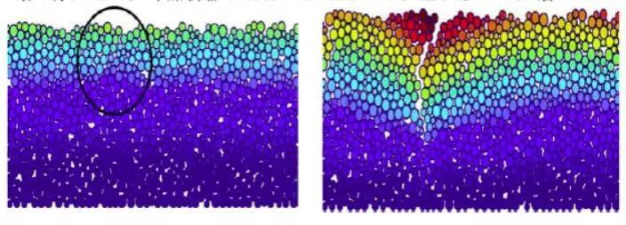 888�ڲ���-����Ϊ��,רҵ����