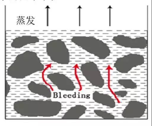 888�ڲ���-����Ϊ��,רҵ����