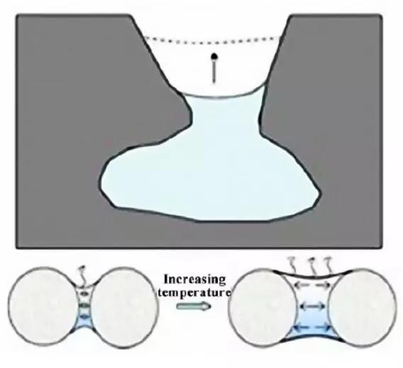 888�ڲ���-����Ϊ��,רҵ����