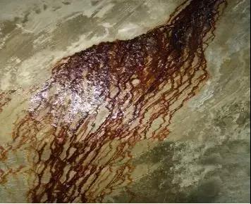 888�ڲ���-����Ϊ��,רҵ����