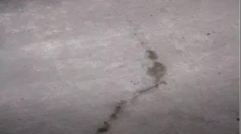 888�ڲ���-����Ϊ��,רҵ����