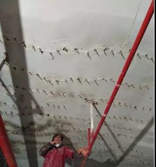 888�ڲ���-����Ϊ��,רҵ����