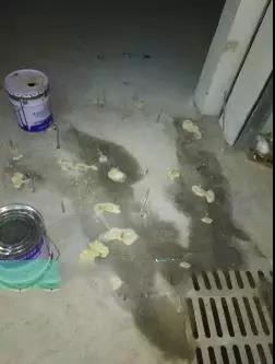 888�ڲ���-����Ϊ��,רҵ����