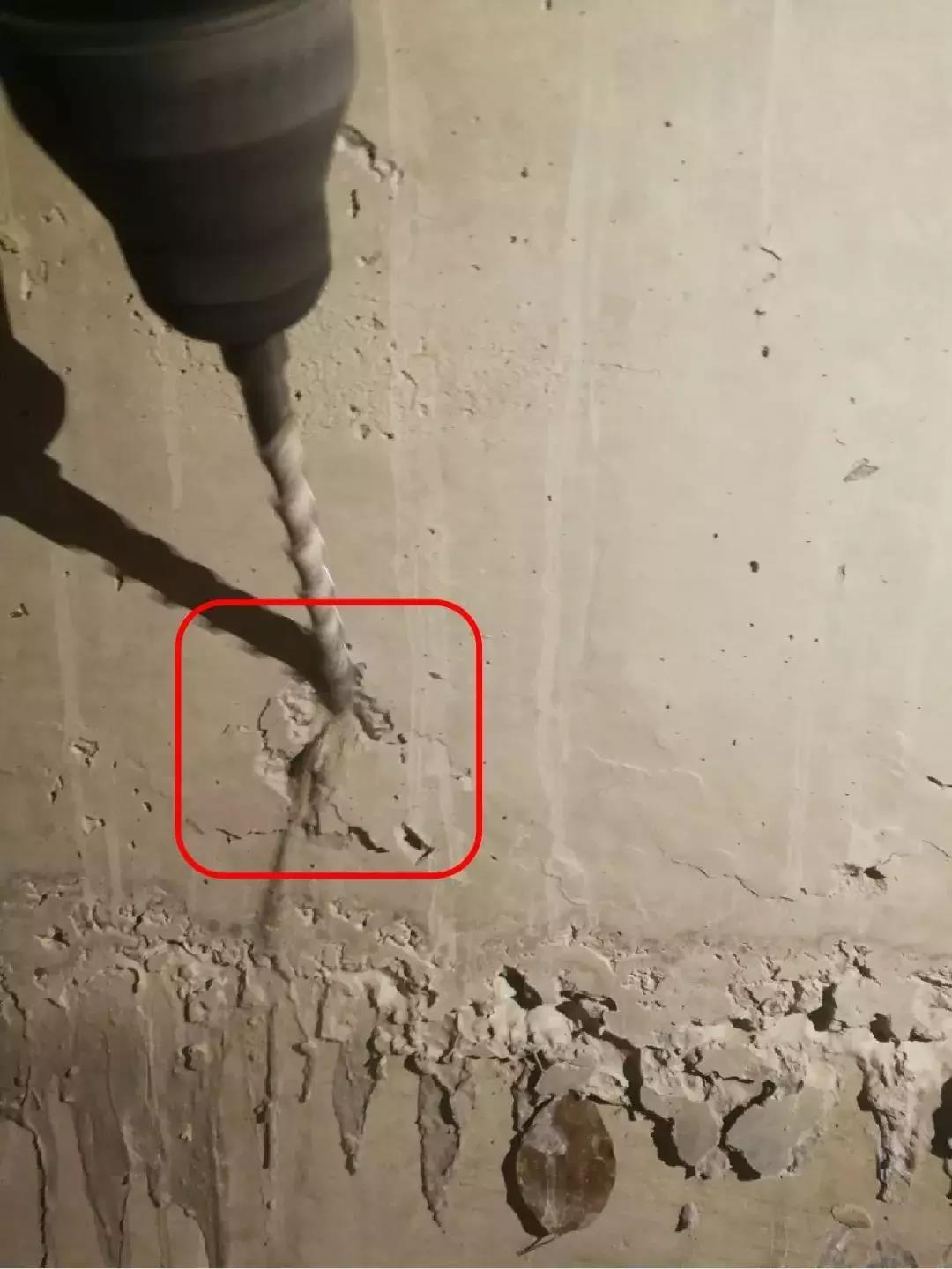 888�ڲ���-����Ϊ��,רҵ����