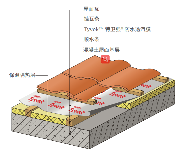 888�ڲ���-����Ϊ��,רҵ����