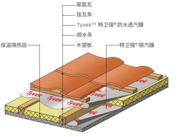 888�ڲ���-����Ϊ��,רҵ����