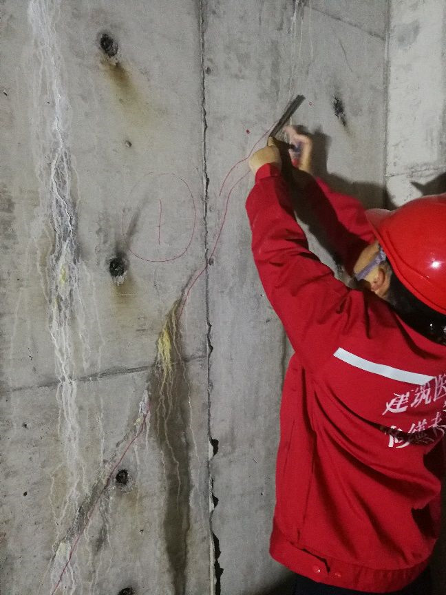 888�ڲ���-����Ϊ��,רҵ����