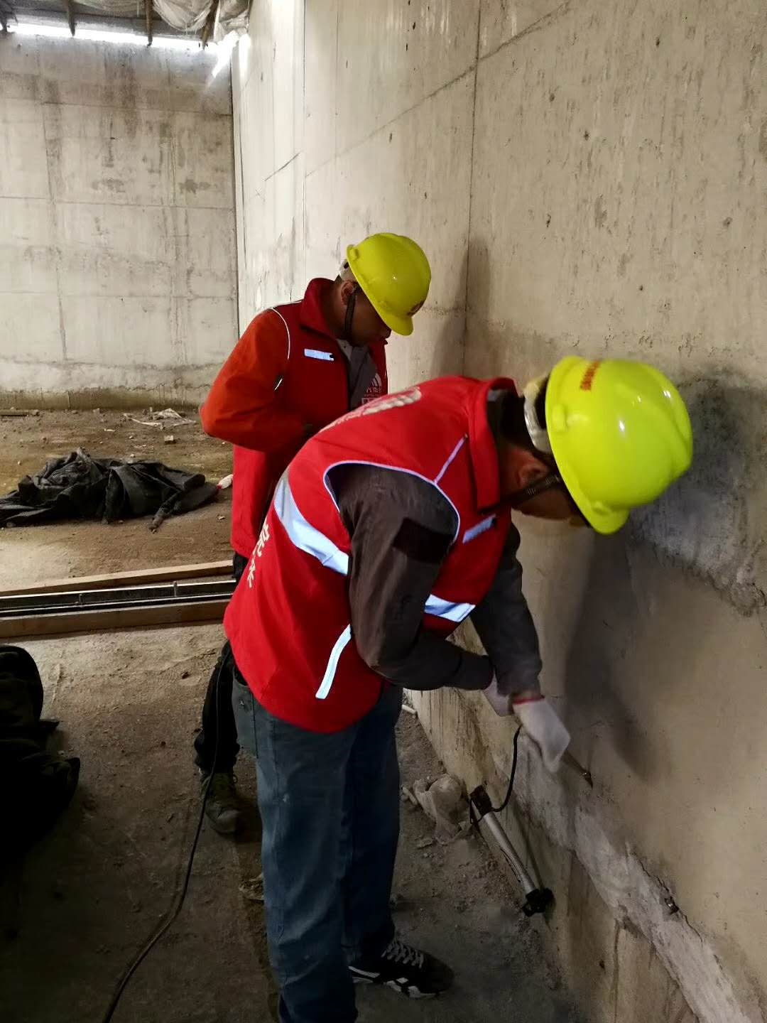 888�ڲ���-����Ϊ��,רҵ����