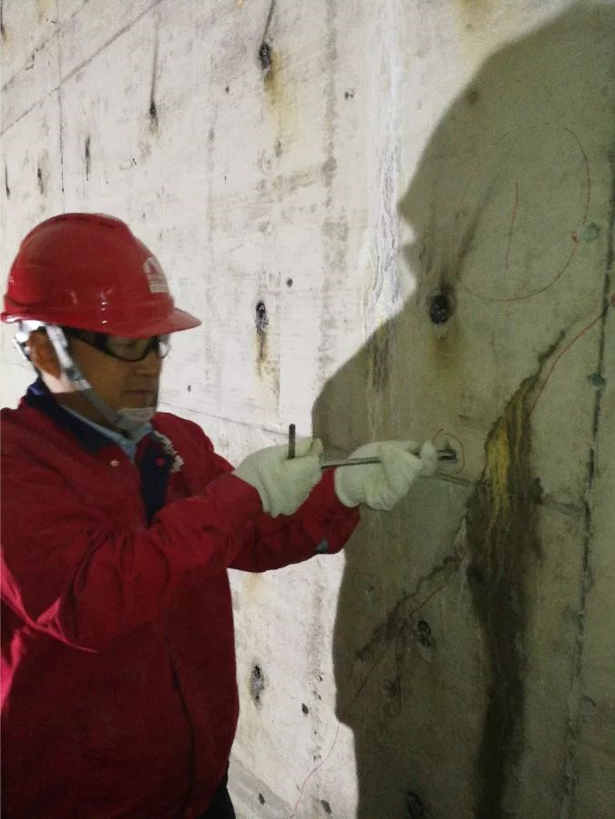 888�ڲ���-����Ϊ��,רҵ����