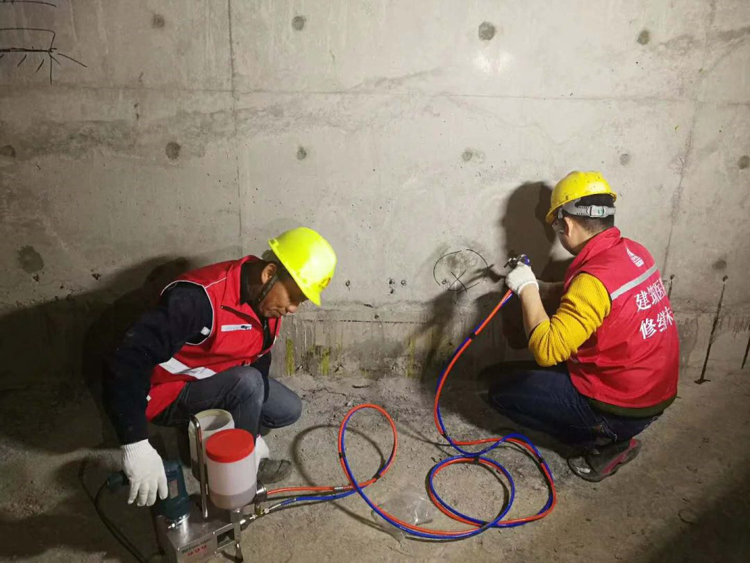 888�ڲ���-����Ϊ��,רҵ����