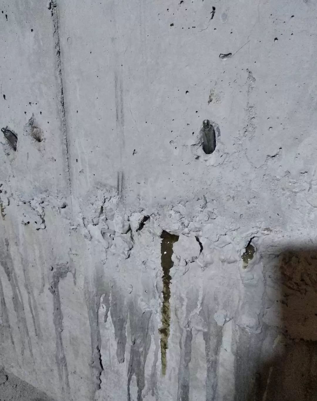 888�ڲ���-����Ϊ��,רҵ����