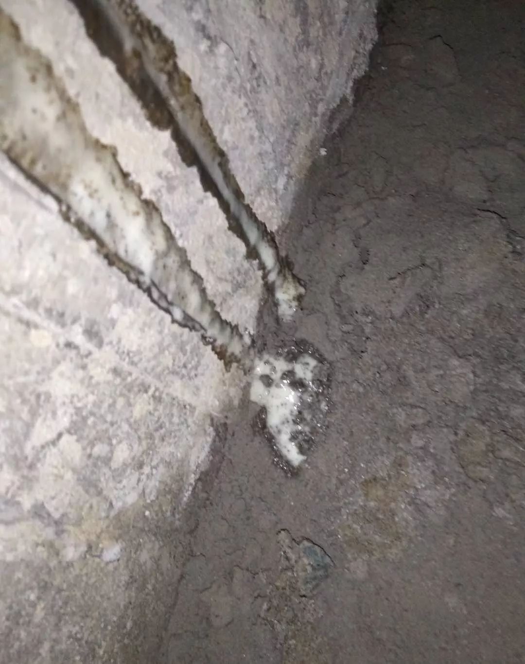 888�ڲ���-����Ϊ��,רҵ����