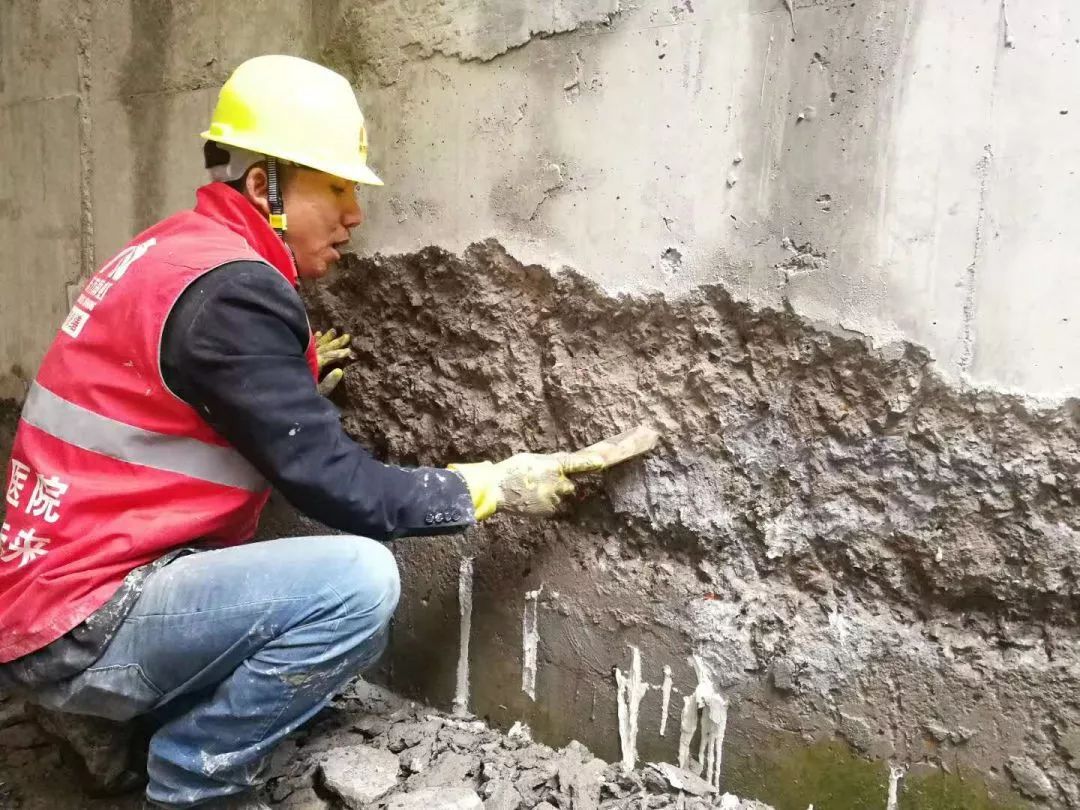 888�ڲ���-����Ϊ��,רҵ����