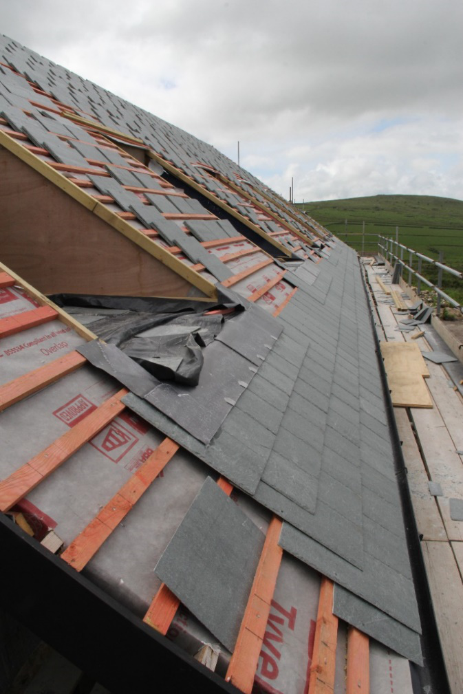 888�ڲ���-����Ϊ��,רҵ����