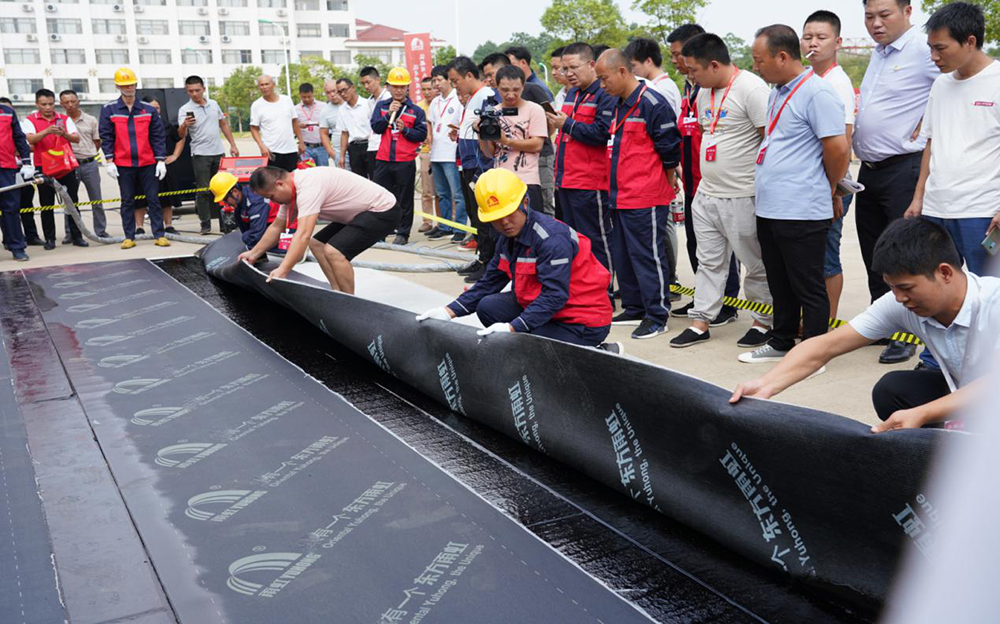 888�ڲ���-����Ϊ��,רҵ����