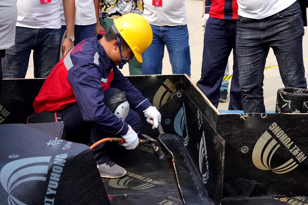 888�ڲ���-����Ϊ��,רҵ����