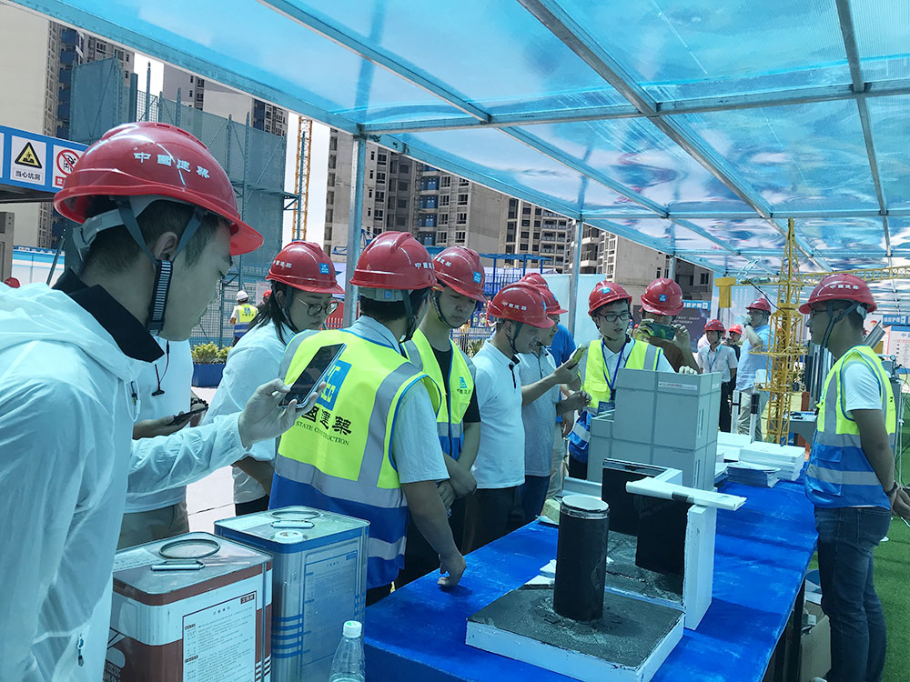 888�ڲ���-����Ϊ��,רҵ����