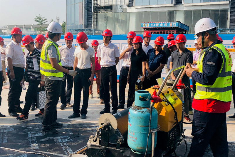 888�ڲ���-����Ϊ��,רҵ����