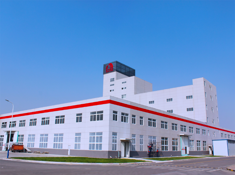 888�ڲ���-����Ϊ��,רҵ����